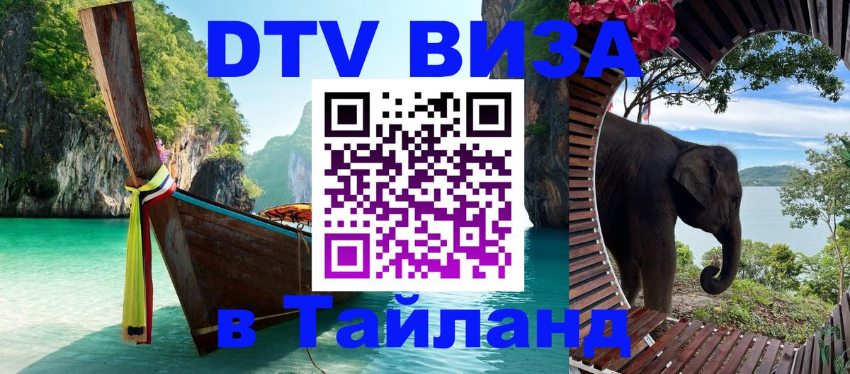 Сколько стоит DTV виза — актуальные цены, оформление даже без документов - Самара 